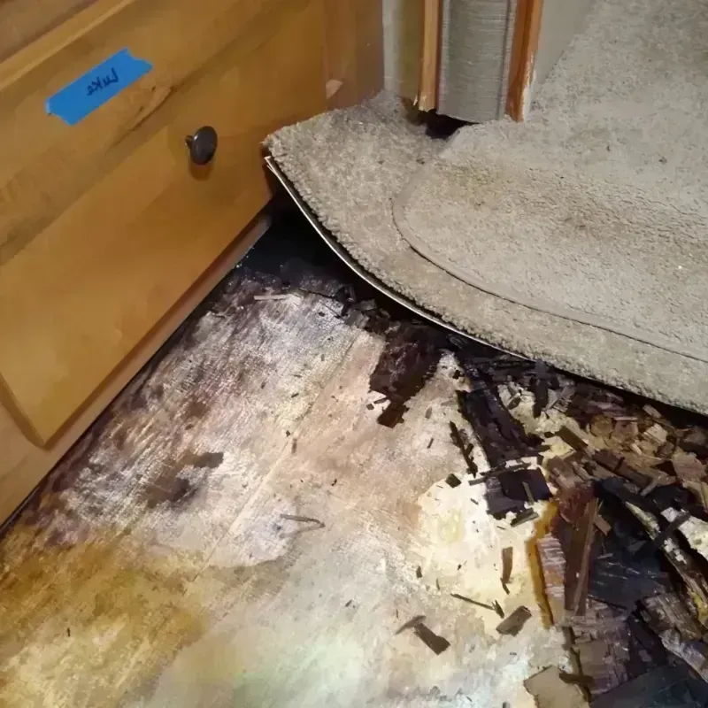 Best Wood Floor Water Damage Service in Krotz Springs, LA